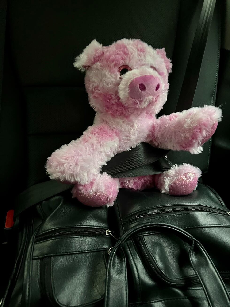 Piggy