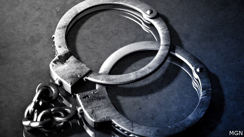 The Tittabawassee Township Police Department says the thief broke into storage units at SDR...