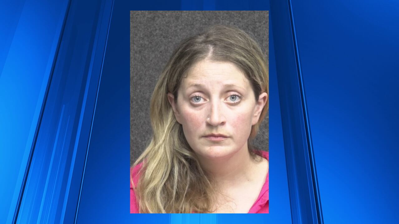 Gratiot Co. woman charged for hit-and-run that killed 2, injured 14 - Vimarsana News