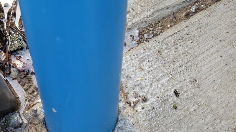 The Shepherd Police Department is investigating after the city’s splash park was damaged.